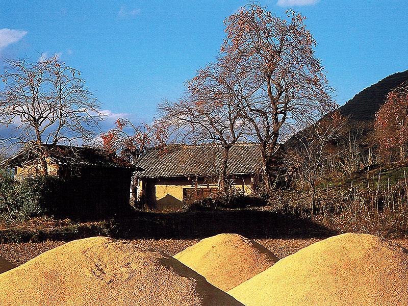 Misato Hotell Azumino Exteriör bild
